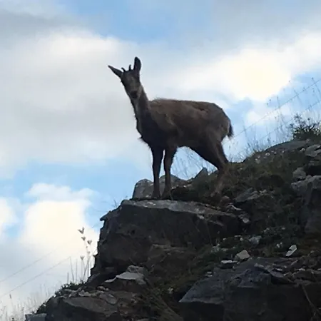 Feriehus Casa De Montana Alto Curueno *