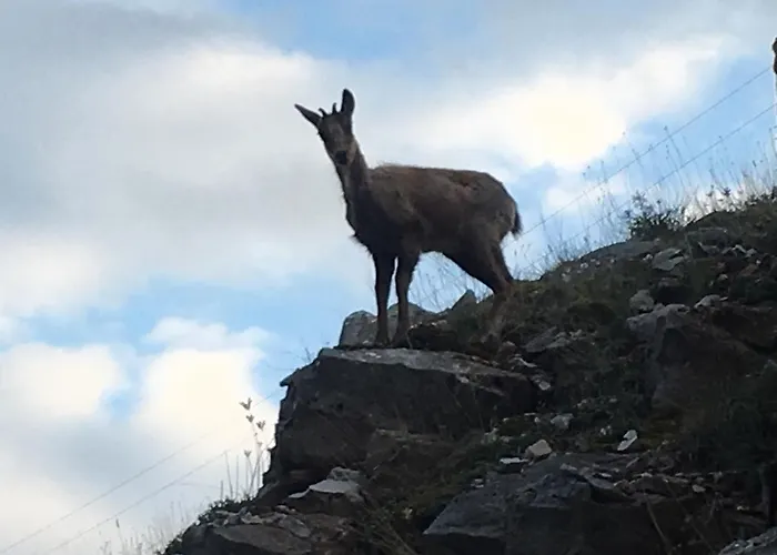 펜션 Casa De Montana Alto Curueno *